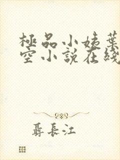 极品小姨叶凡司空小说在线阅读全文