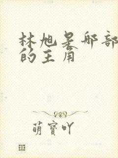 林旭是哪部小说的主角