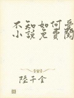 不知如何爱你时小说免费阅读