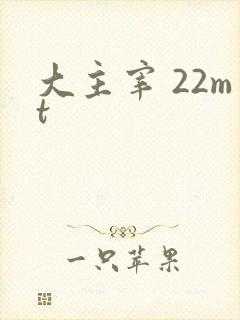 大主宰 22mt