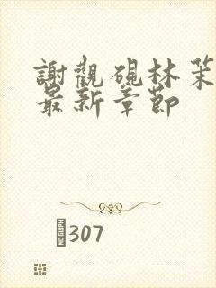 谢观砚林茉小说最新章节