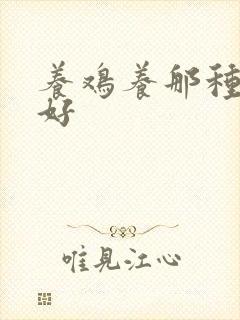 养鸡养那种鸡苗好