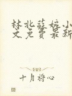 林北苏婉小说全文免费最新