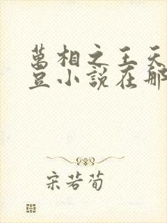 万相之王天蚕土豆小说在那里更新