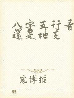 八字五行看天干还是地支