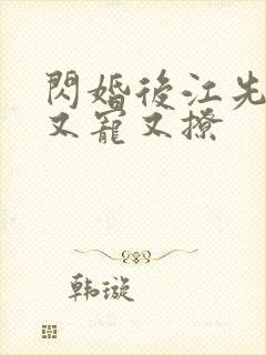 闪婚后江先生他又宠又撩