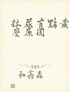 拉尿有点黄是什么原因