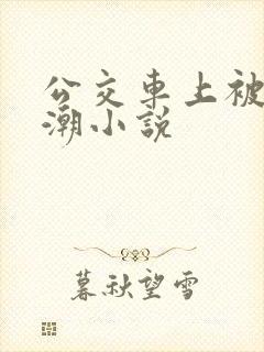 公交车上被弄高潮小说