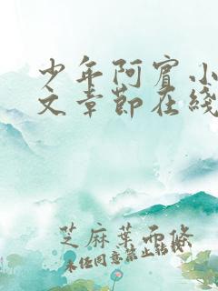 少年阿宾小说全文章节在线