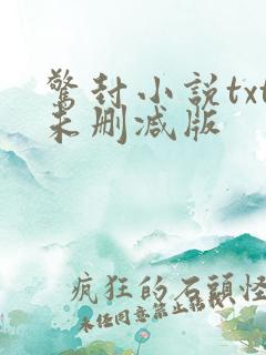 惊封小说txt未删减版