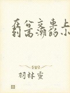 在公交车上被摸到高潮的小说文章