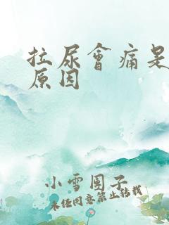 拉尿会痛是什么原因