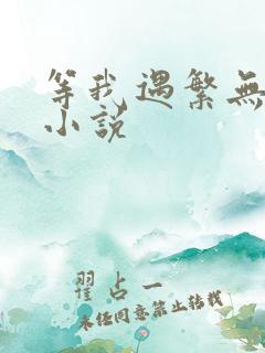 等我遇繁无删减小说