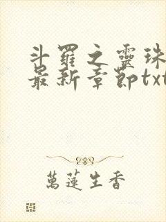 斗罗之灵珠神剑最新章节txt