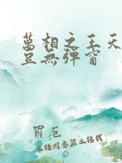 万相之王天蚕土豆无弹窗