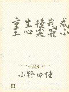 重生后我成了傻王心尖宠小说
