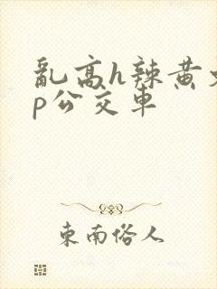 乱高h辣黄文np公交车