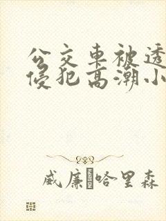 公交车被透明人侵犯高潮小说