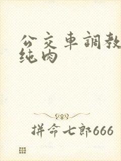 公交车调教小说纯肉