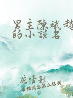 男主陈斌赵心媚的小说名