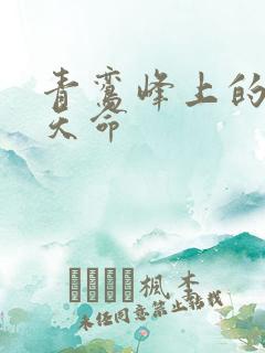 青鸾峰上的无敌天命