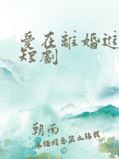 爱在离婚进行时短剧