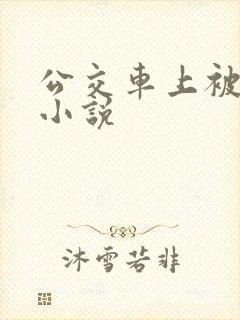 公交车上被插入小说