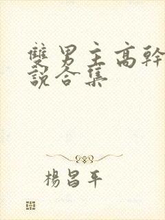 双男主高干文小说合集