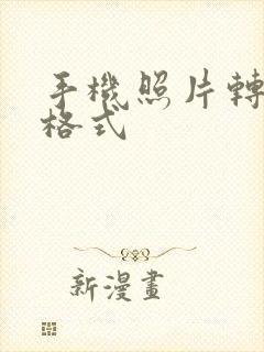 手机照片转换成格式