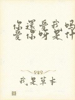 你还爱我吗我还爱你呀是什么歌
