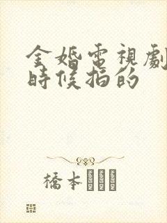 金婚电视剧什么时候拍的