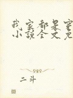我家都是穿来的小说全文免费阅读