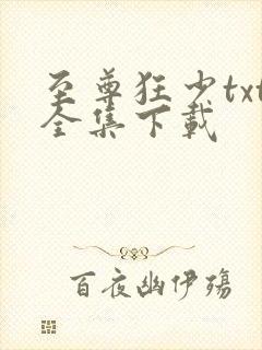 至尊狂少txt全集下载