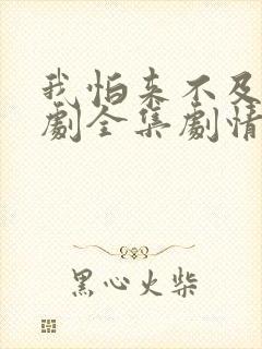 我怕来不及电视剧全集剧情介绍