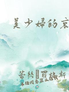美少妇的哀在线