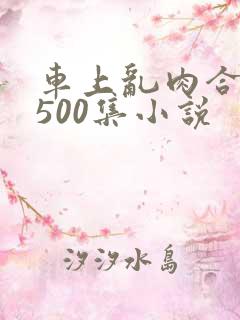 车上乱肉合集乱500集小说