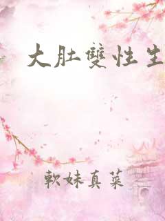 大肚双性生子