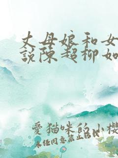 丈母娘和女婿小说陈超柳如烟