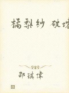 橘梨纱 破坏