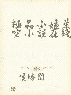 极品小姨叶凡司空小说在线阅读全文