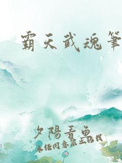 霸天武魂笔趣阁