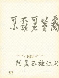 可不可以爱上我小说免费阅读完整版