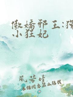 傲娇邪王:独宠小狂妃
