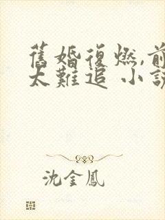 旧婚复燃,前妻太难追 小说