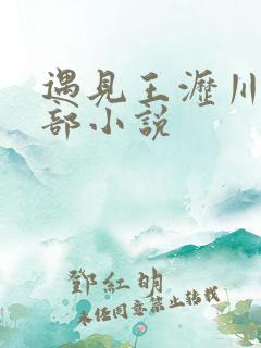 遇见王沥川第二部小说
