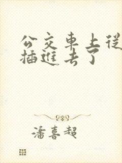公交车上从背后插进去了