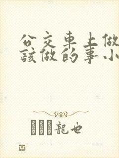 公交车上做了不该做的事小说