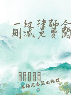 一级律师全文无删减免费阅读