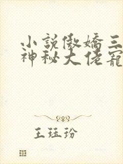 小说傲娇三宝,神秘大佬宠妻忙