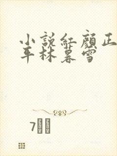 小说红颜正道周平林暮雪